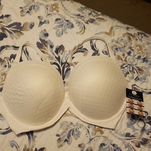 NWT Le Mystery infinite Possibilities Plunge Bra
